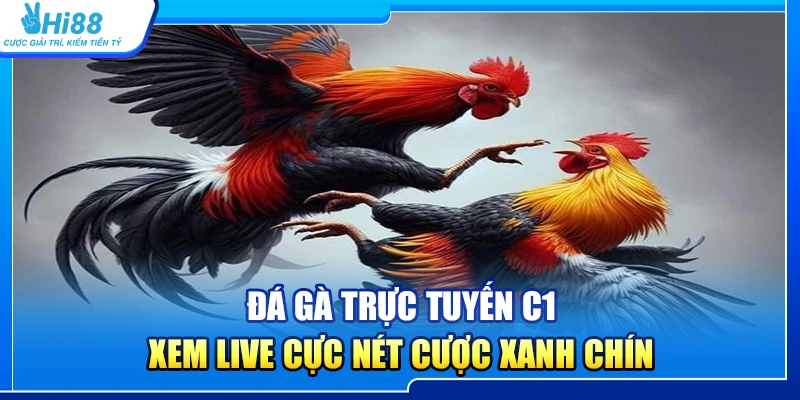 38.da ga truc tuyen c1 – xem live cuc net cuoc xanh chin 1