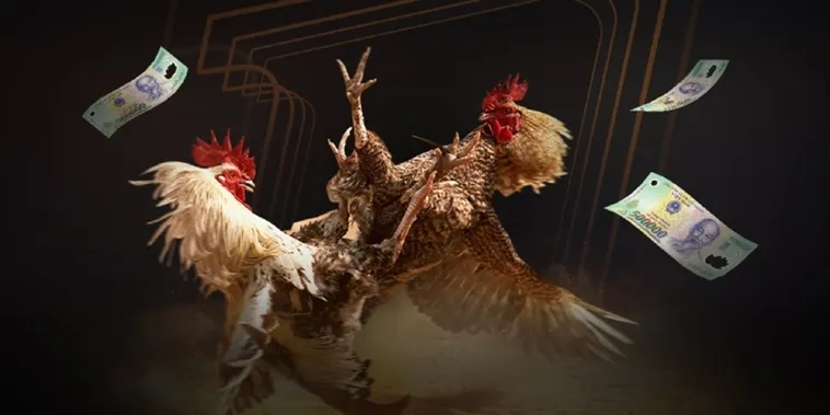 Tham Gia Đá Gà Sabong Hi88 Ngay Để Trải Nghiệm Thắng Lớn